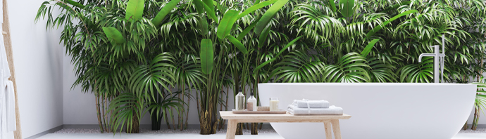 Tendance bain zen exotique nature plante