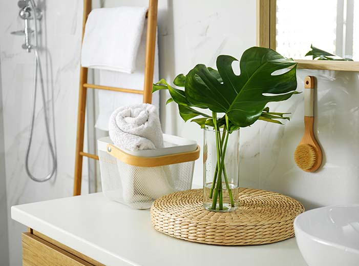 photo salle bain exotique nature exotique blanc