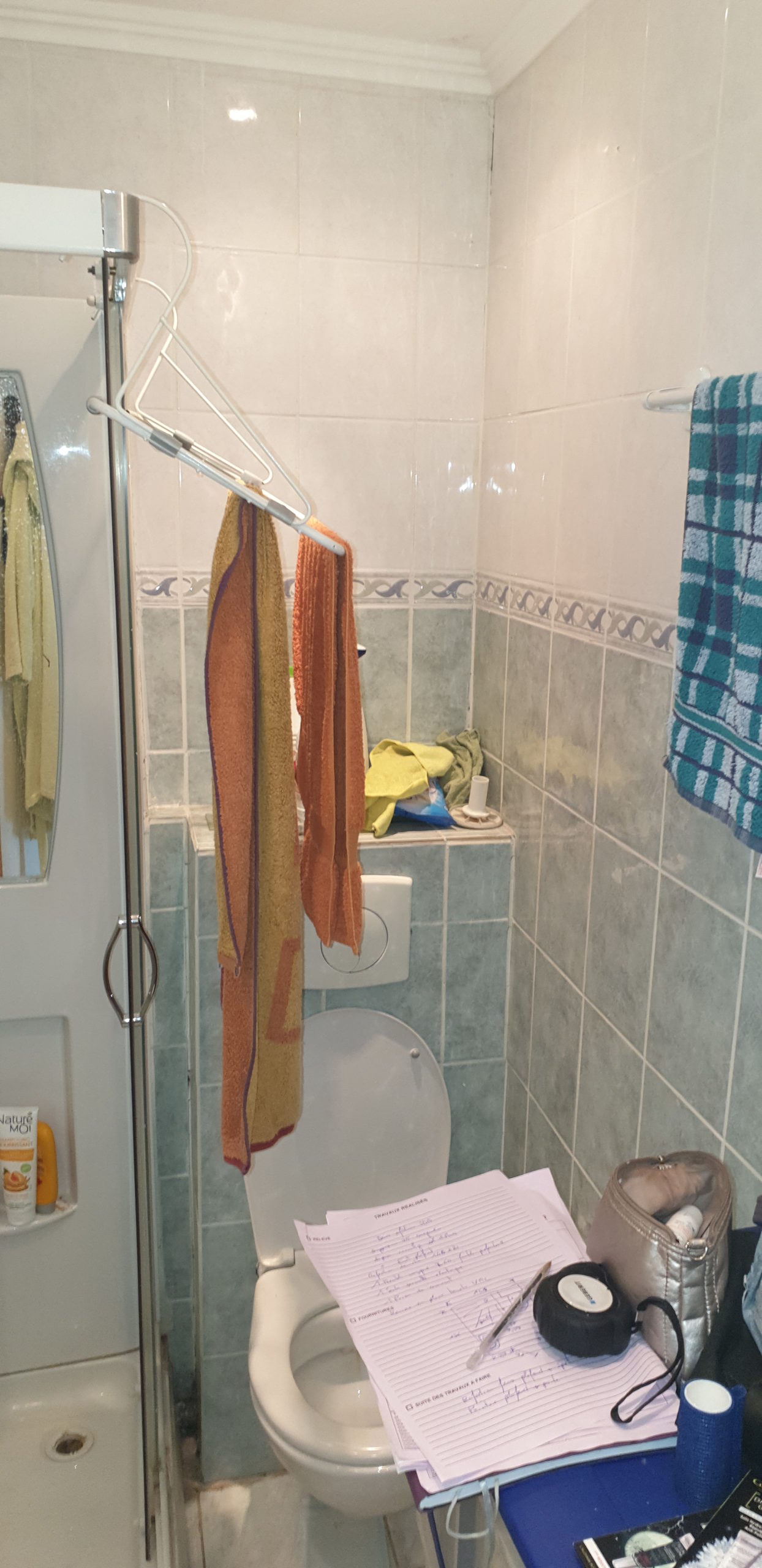 projet salle bain douche blanc marbre avant dalmasso